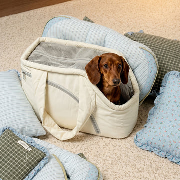 Traveling Together: How to Choose the Perfect Pet Carrier Bag