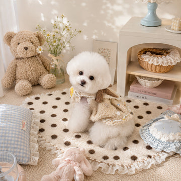 Why Interactive Toys Matter for Your Dog's Happiness