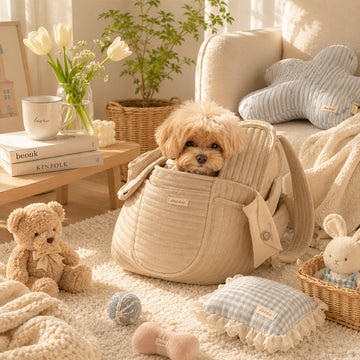 Creating a Cozy Space: How to Choose the Perfect Pet bag for Your Dog