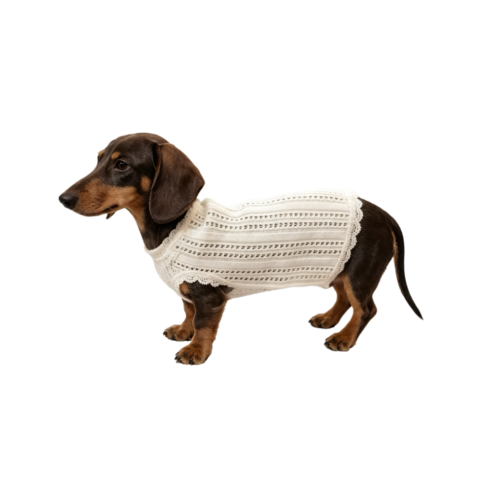 The Cooling Vest