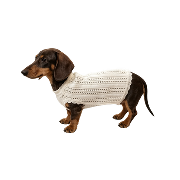 The Cooling Vest