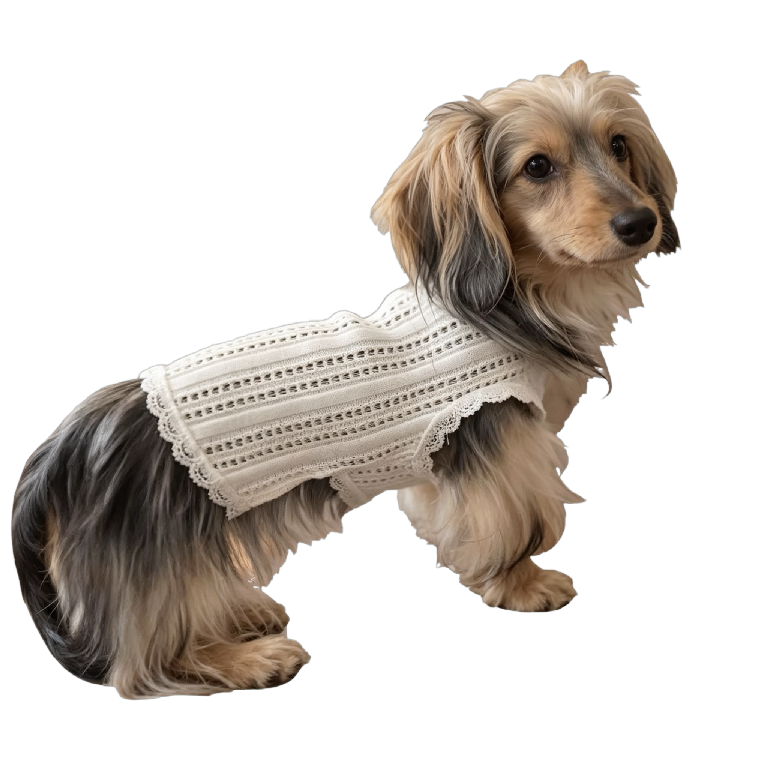 The Cooling Vest
