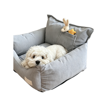 The Washable Sofa