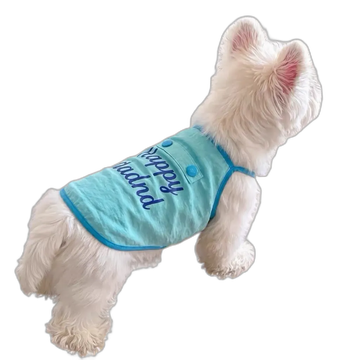 The Blue H Vest
