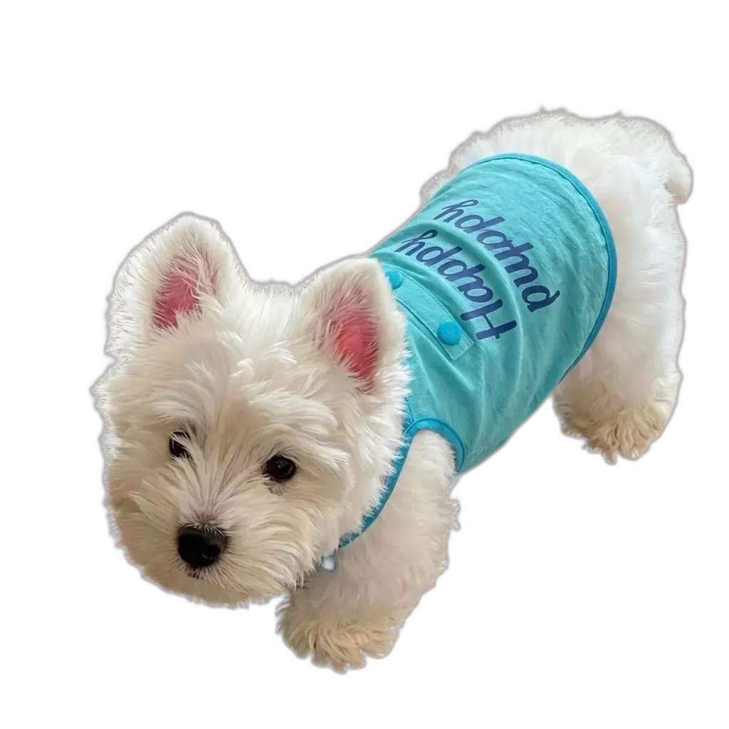 The Blue H Vest