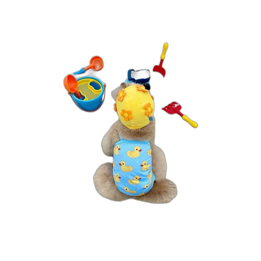 The Swim Set