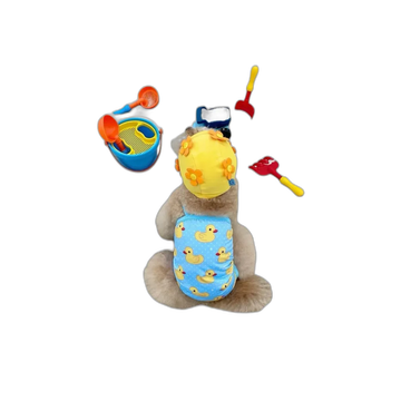 The Swim Set