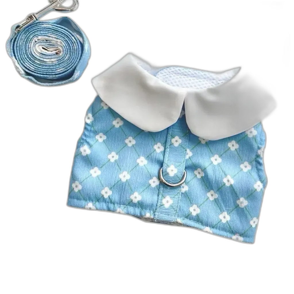 The Bear Harness