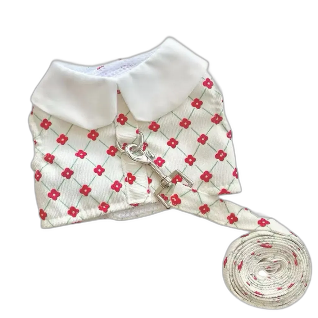 The Bear Harness