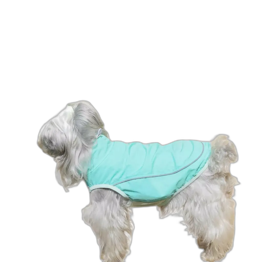 The Sun Vest