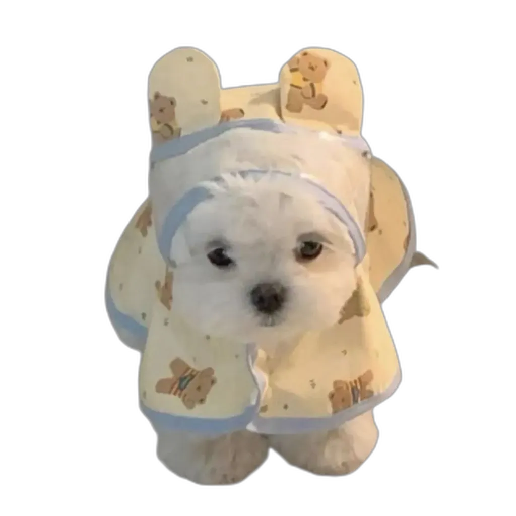 The Bear Raincoat