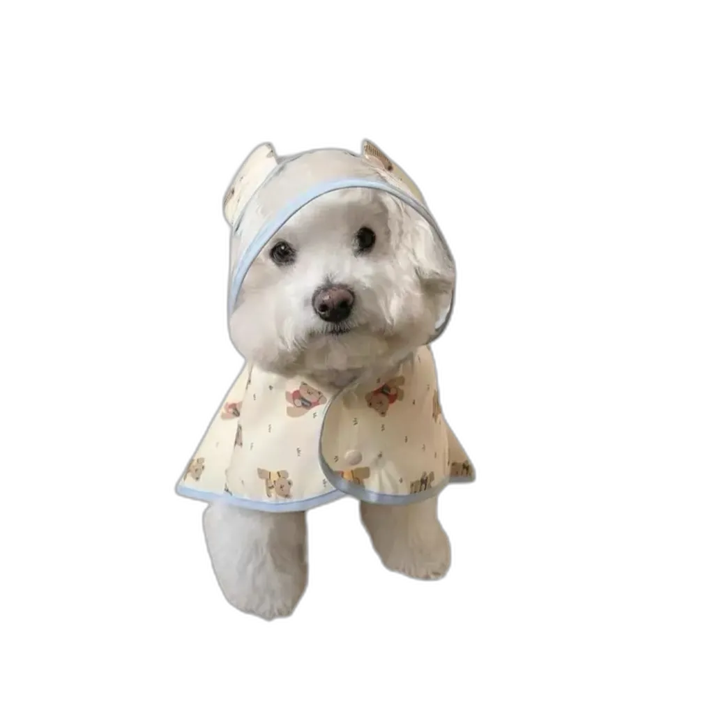The Bear Raincoat
