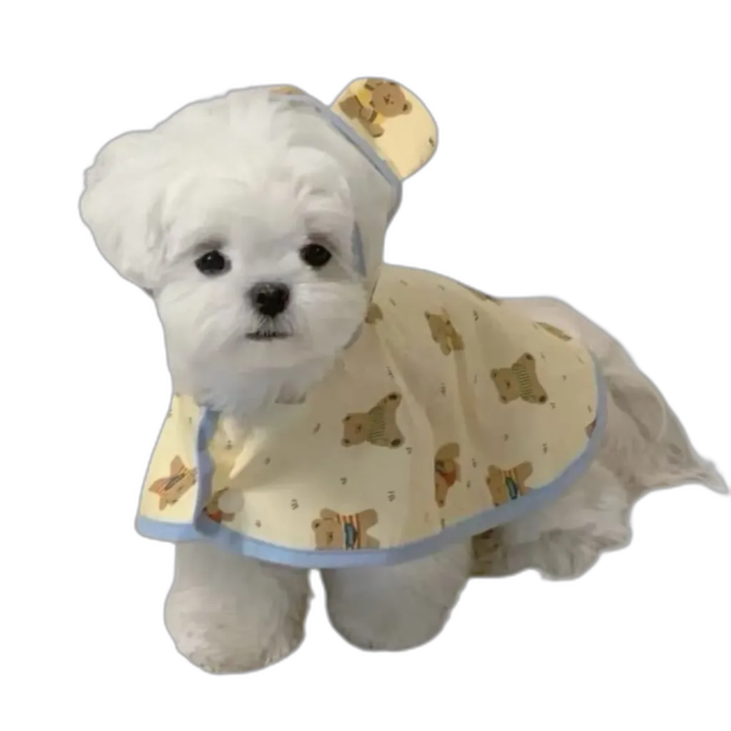 The Bear Raincoat