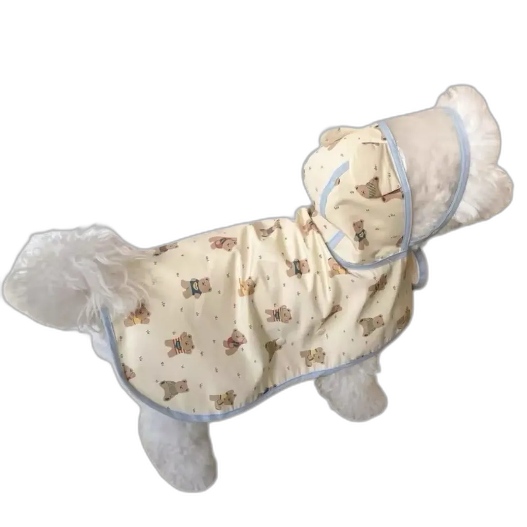 The Bear Raincoat